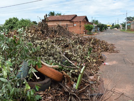 Paranaibense que não limpar terreno será multado em até R$ 430
